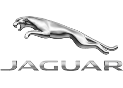 Jaguar Hire Badge